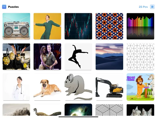 Goally Learner puzzles on iPad